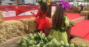 Rengarenk görüntüleriyle Urla Enginar Festivali!