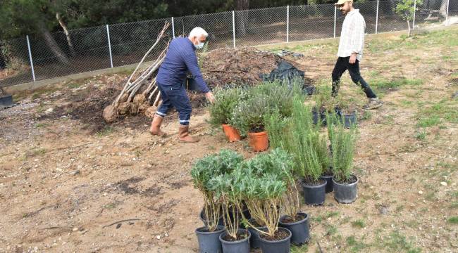 Kadın emeği ve doğal tarımı buluşturan proje uluslararası arenada