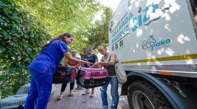 İzmir Büyükşehir Belediyesi Kısırlaştırma Çalışmalarına Hız Verdi