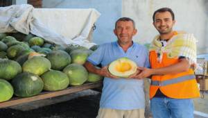 Buca’da kavun festivali coşkusu 