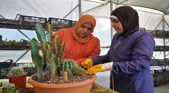 Hem tohumlar hem kadınlar güçleniyor 