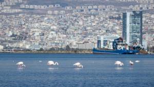  Sürdürülebilir İzmir Vizyonu 