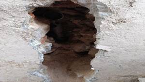 Tedavi Altına Alındı