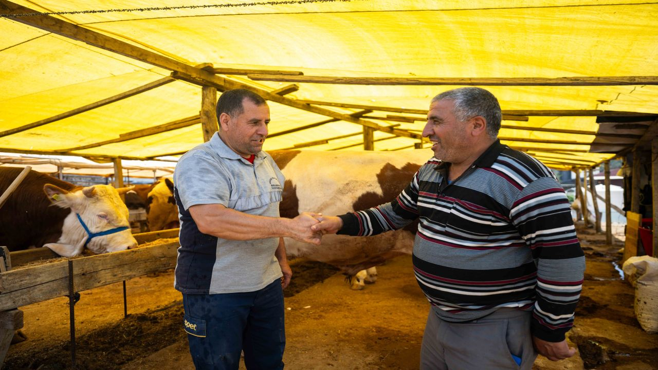 Bornova Kurban Pazarı Açıldı