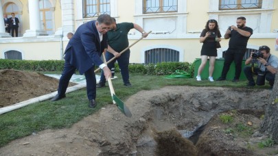 Asırlık Çınar Ağacının Yerine Yenisini Dikildi