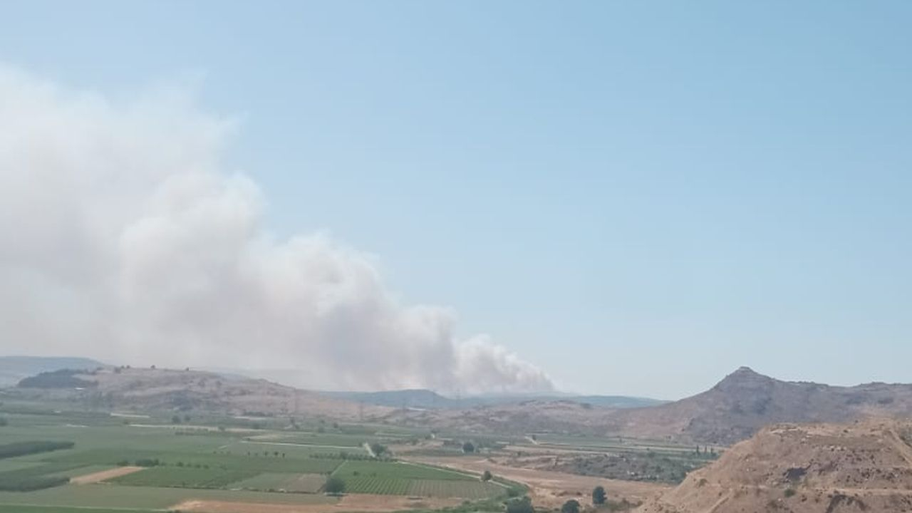 Aliağa'da orman yangını