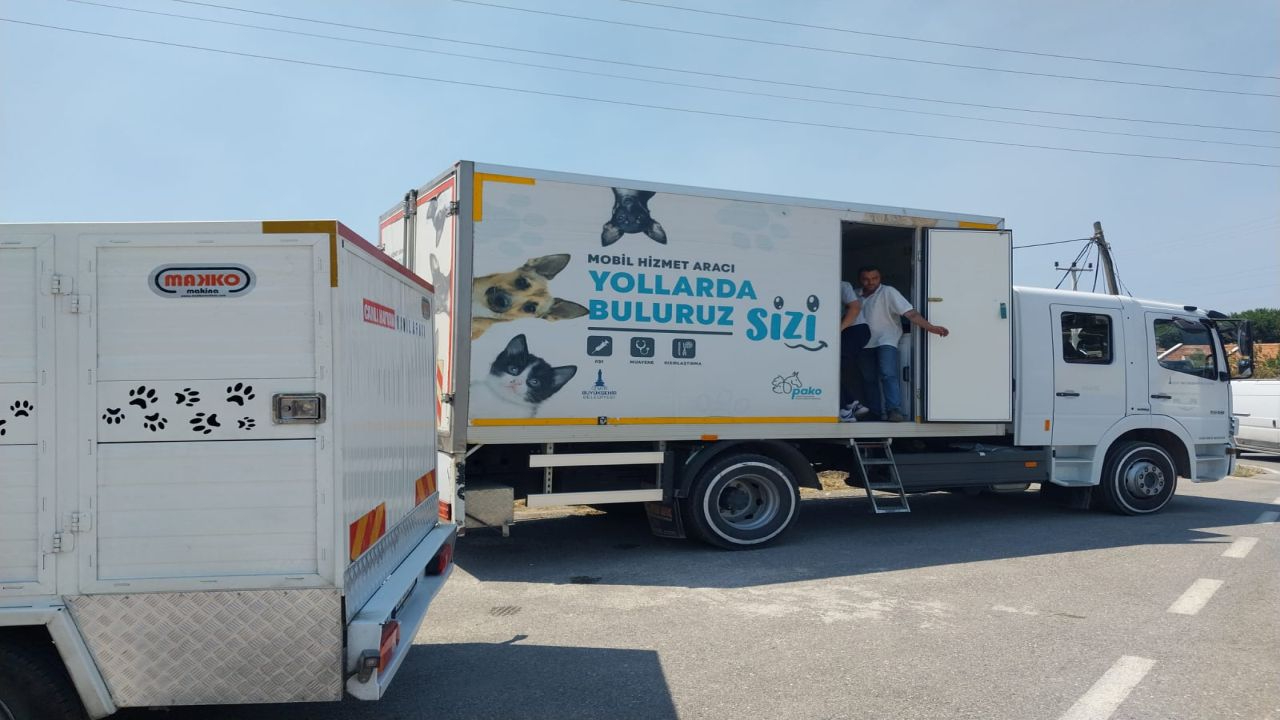 Büyükşehir, yangında mahsur kalan hayvanları unutmadı