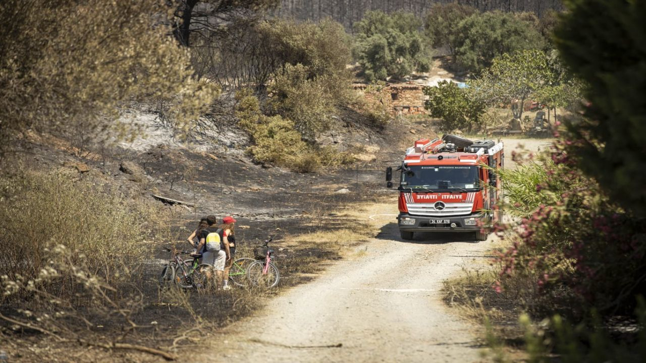 Seferihisar ve Menderes yangınlarının bilançosu ağır