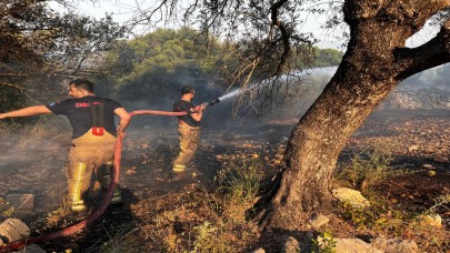 Çeşme'de yangınla mücadele sürüyor