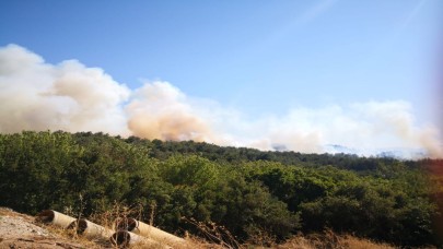 Urla Camiatik’te yangın alarmı