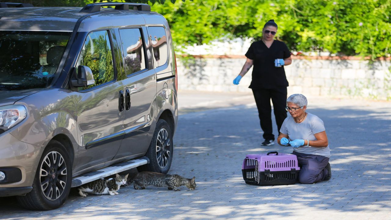 Narlıdere Belediyesi'nden minik dostlar için seferberlik