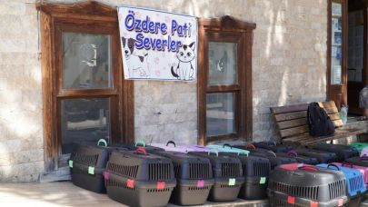 7 bin kediye mobil kısırlaştırma