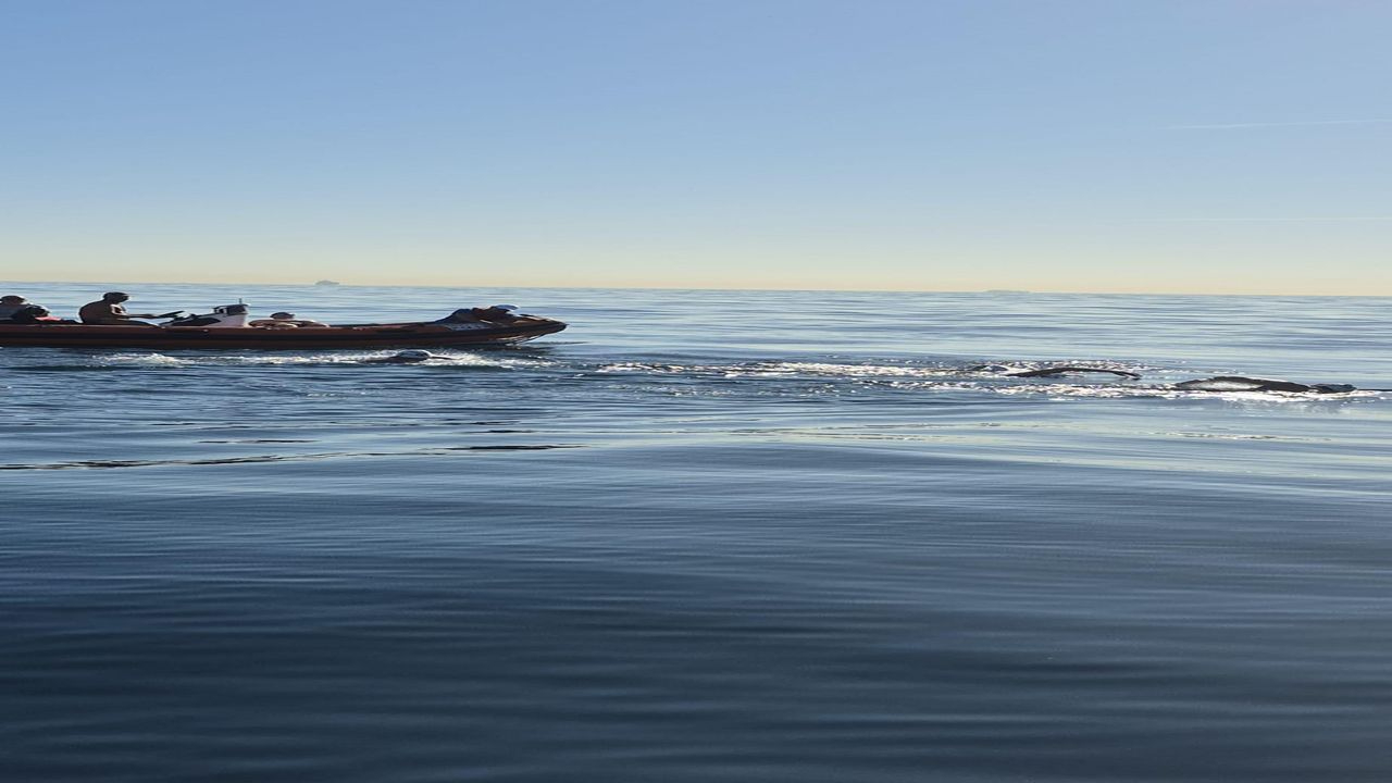 İzmirli Tuna’dan bir tarihi başarı daha