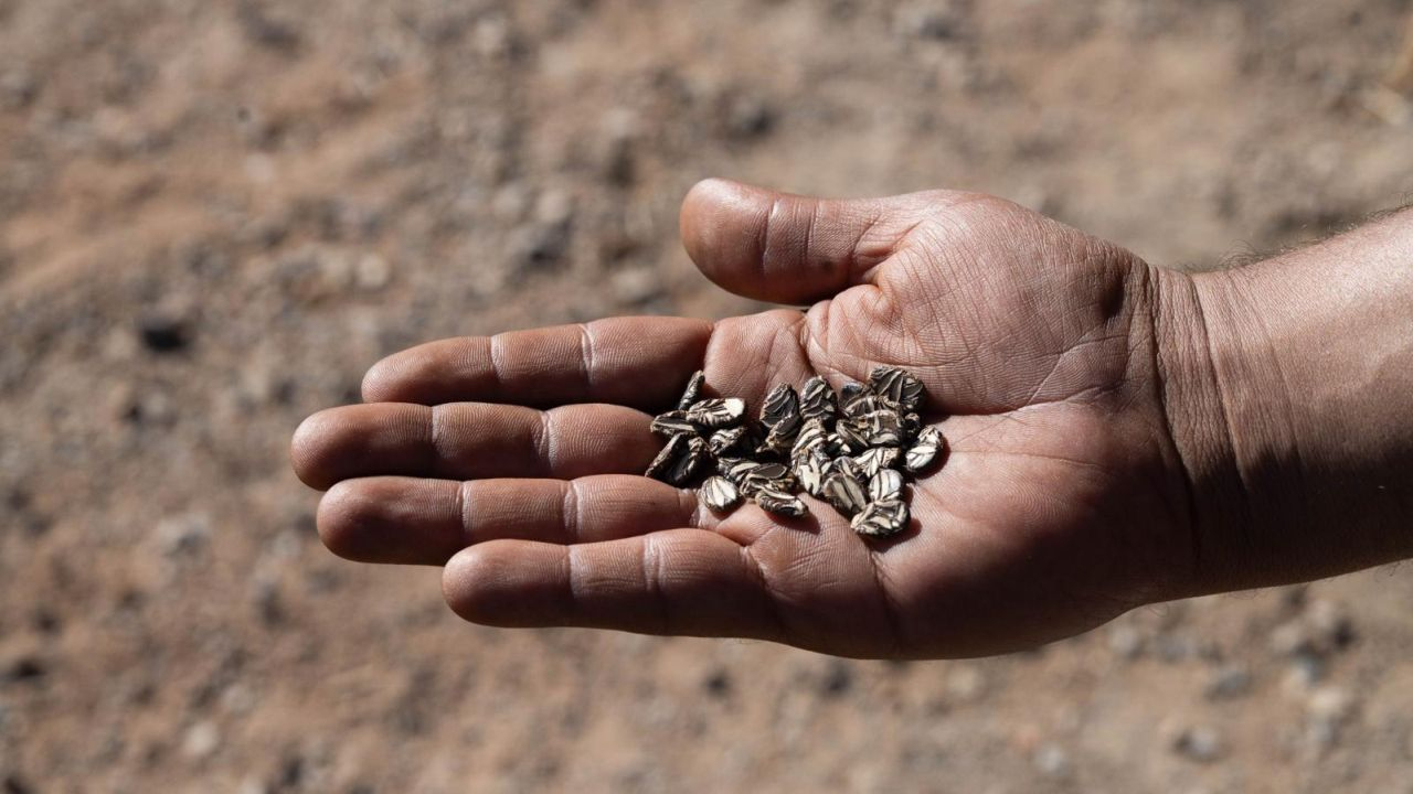 Minik eller toprakla buluştu