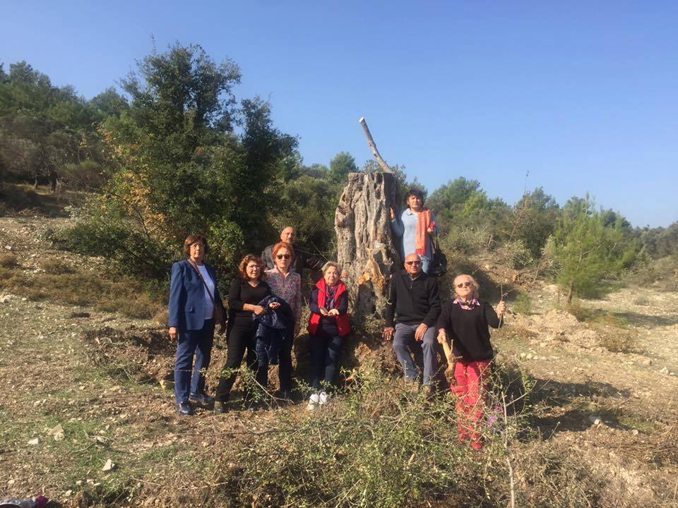 Özbek halkı Dünya Zeytin Günü'nde zeytinine sahip çıkacak