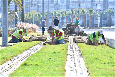 Yeşil tramvay