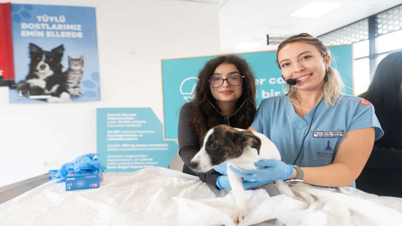 “Sahipsiz hayvanlara kötü muamele son bulsun”