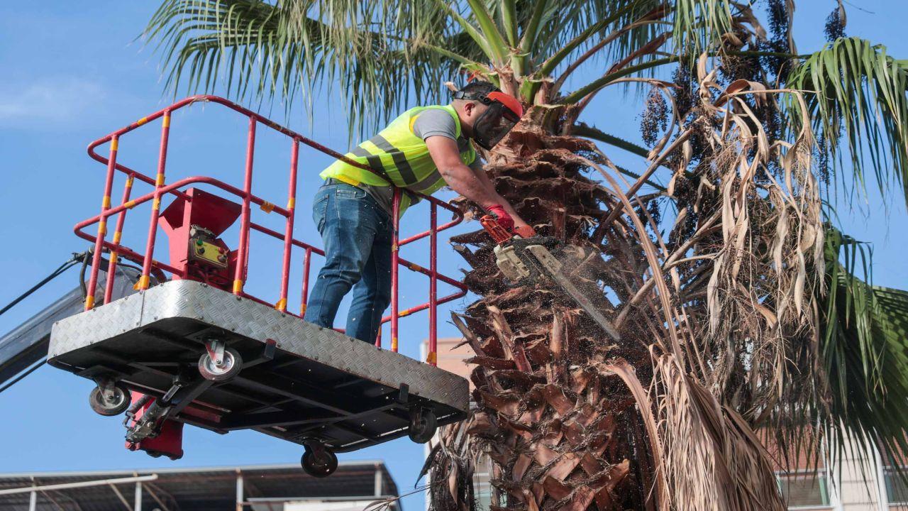 Buca’da köşe bucak temizlik