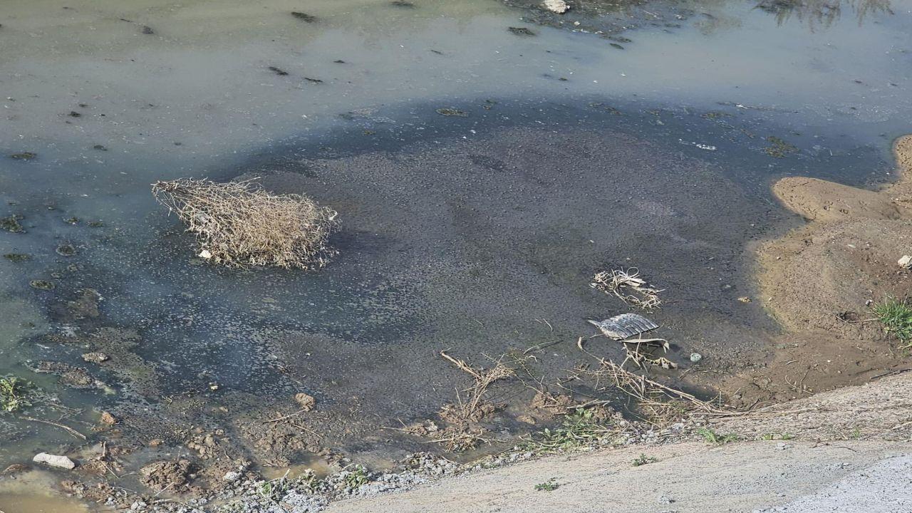 Büyükşehir, Temiz Çevre için Görev Başında