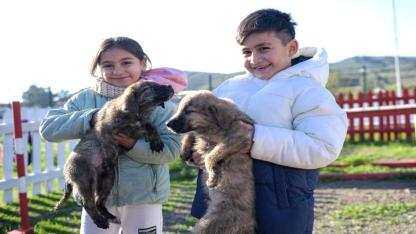 Çocuklara hayvan sevgisi kazandırılıyor