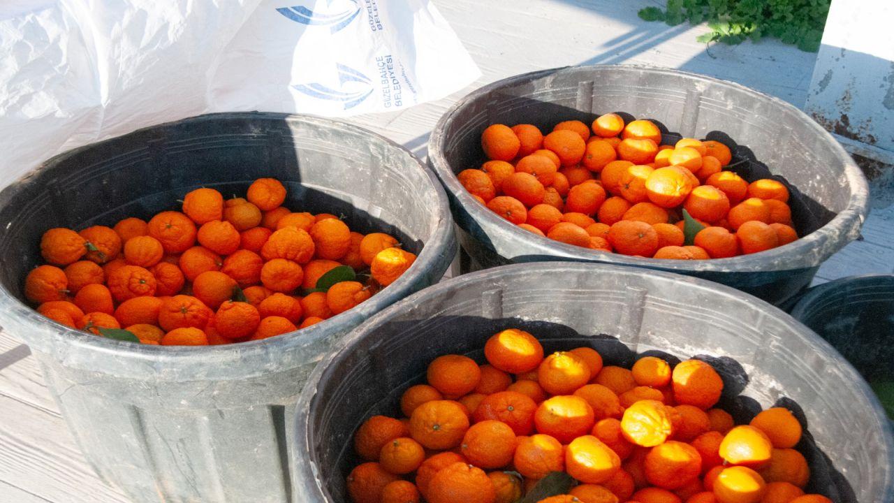 Güzelbahçe’de Güven ve Dayanışma Esaslı Uygulama