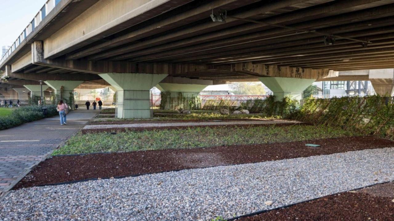 İzmir’in çehresi su tasarruflu bitkilerle güzelleşiyor