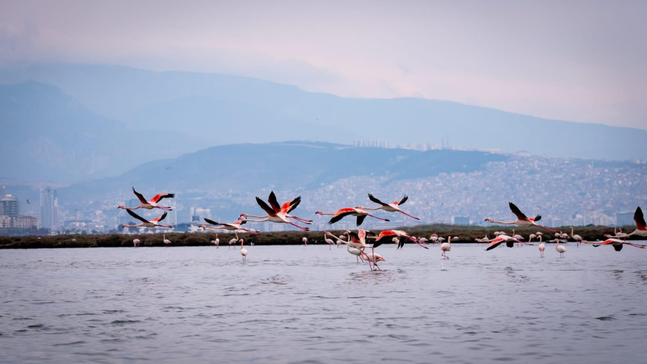 Doğa, kültür ve lezzet tutkunları yarıyıl tatilinde bu turlarda buluşacak