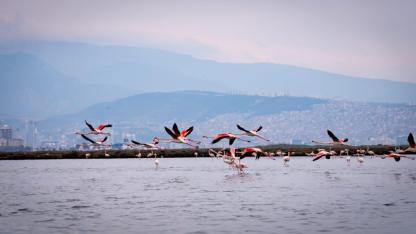Doğa ve kültür  tutkunları yarıyıl tatilinde bu turlarda buluşacak