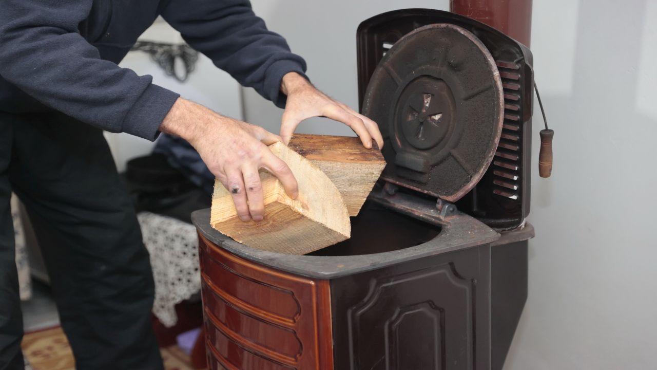 Konak’ta kış dayanışması: Budanan ağaçlar yuvaları ısıtıyor