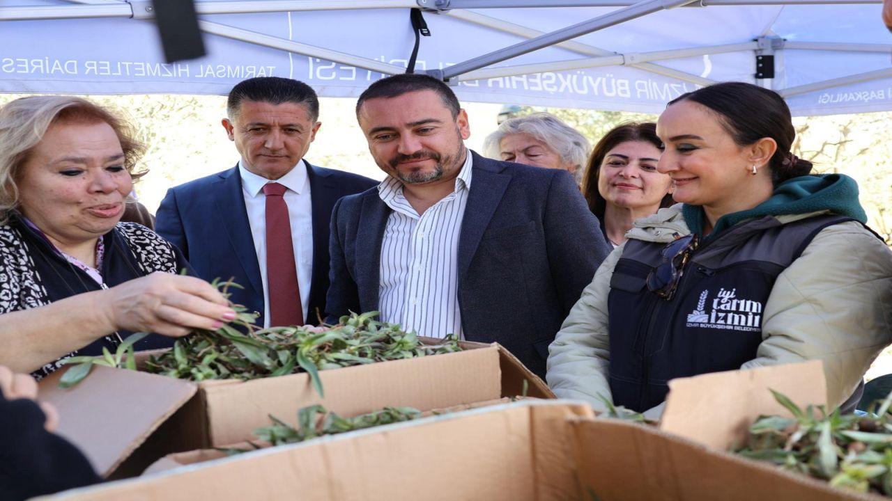 Menderes’te salep umudu