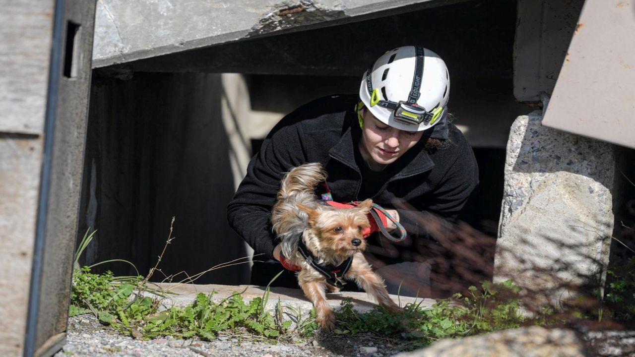 Afetlerde mahsur kalan hayvanlar unutulmayacak