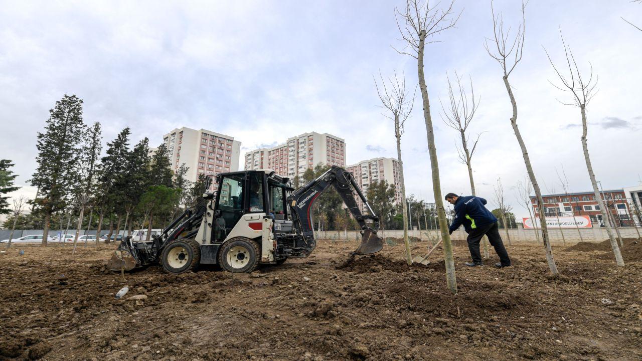Betonun arasından orman çıktı
