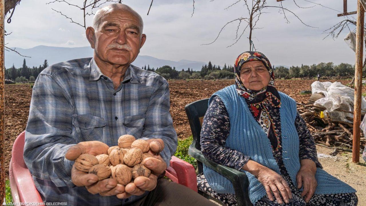 Kesilen cevizlerin yerine umut filizlendi