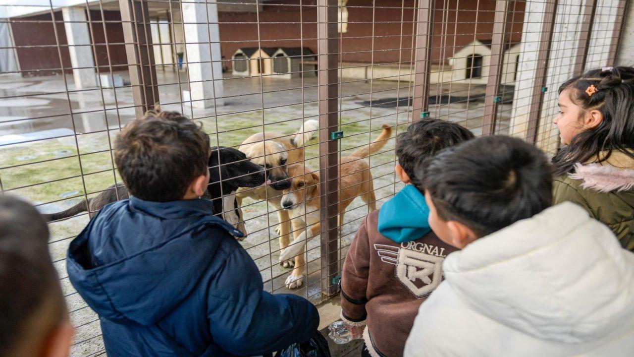 Doğa ve patili dostlar şifa dağıtıyor